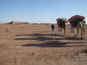 Nomads Life Style - Safari og dyreliv