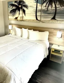 Days Inn & Suites by Wyndham Tampa Fairground-Casino-Ybor - Room