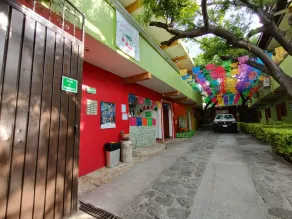 Los Ciruelos Oaxaca - Recepción