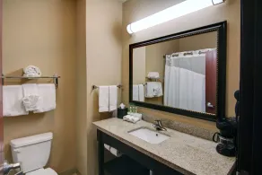 Holiday Inn Express Hotel & Suites Paris by IHG - Bad