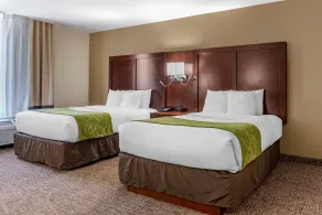 Comfort Suites Fernley - Chambre