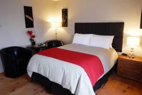 Auberge Aux Quatre Matins - Room