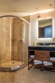 Hilton Garden Inn Mexico City Polanco - Bathroom