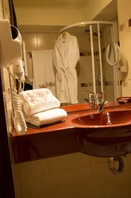 Hotel Prahova Plaza - Badeværelse
