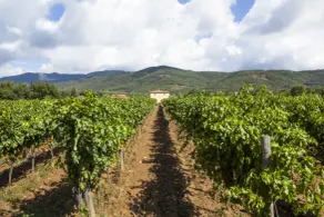Il Borro Relais & Châteaux - Udsigt fra værelset
