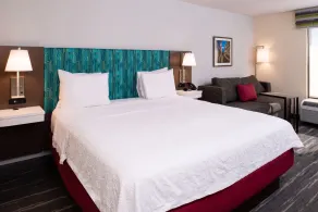 Hampton Inn Greensboro-Airport - Room
