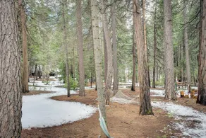 Renovated Pioneer Home in Serene Wooded Setting! - Interiør