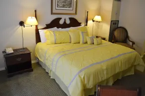 Hotel Chester - Room