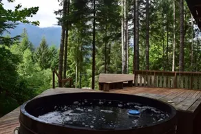 Cedar badtunna, nära Mt Rainier, WIFI - Spa