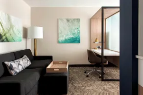 SpringHill Suites by Marriott Tampa Suncoast Parkway - Habitación