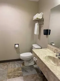 Edmore Inn - Baño