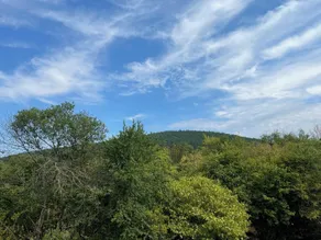 Hotel-Gasthof Imhof - Ausblick vom Zimmer