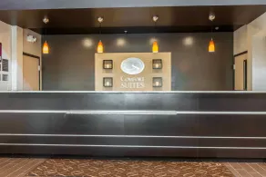 Comfort Suites Columbus Expo Center - Réception