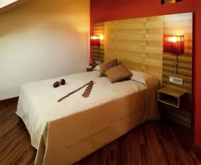 Hotel Spa QH Centro León - Chambre