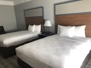 AmericInn by Wyndham New Braunfels - Chambre