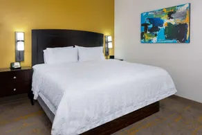 Hampton Inn & Suites Sarasota/Lakewood Ranch - Chambre