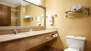 Best Western Plus Southpark Inn & Suites - Salle de bain