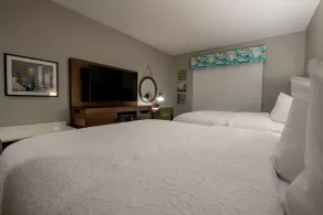 Hampton Inn & Suites Duncanville Dallas - Chambre