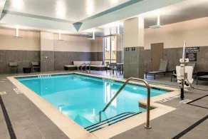 Residence Inn by Marriott Houston Medical Center/NRG Park - Pool