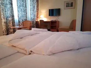 Hotel Altberesinchen - Room