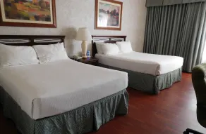 University Square Hotel - Chambre