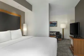 SpringHill Suites by Marriott Winston-Salem Hanes Mall - Room