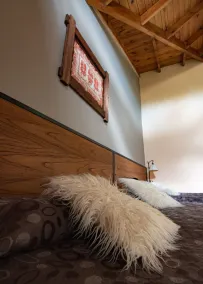 Glaciares De La Patagonia - Quarto