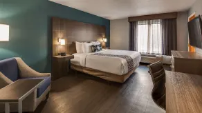 Best Western Plus Champaign/Urbana Inn - Værelse