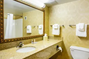 Comfort Inn Woodstock Shenandoah - Badeværelse