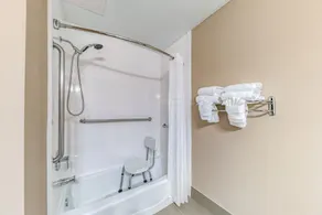 Quality Inn West Plano - Dallas - Bruser på badeværelset