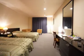 The Gran Resort Oumi Maiko - Chambre