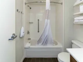 Hampton Inn Norfolk-Naval Base - Salle de bain
