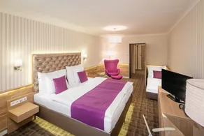 Pytloun Wellness Hotel Harrachov - Chambre