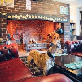 The Jolly Drover - Restaurant