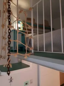 Casetta del Pescatore - Chambre