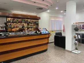 Hotel Mercure - Reception