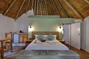 Warthogs Bush Lodge - Room