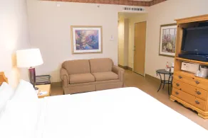Holiday Inn Express Silao-Aeropuerto Bajio by IHG - Chambre