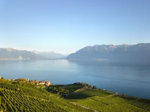 Baron Tavernier Hotel Restaurant & SPA - Vue de la chambre