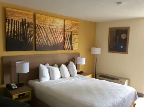 Days Inn by Wyndham Fayetteville-South/I-95 Exit 49 - Chambre
