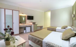 Blue Star Hotel - Room