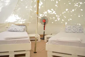 Tulia House Backpackers - Room