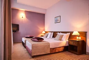 Hotel Lion Sofia - Room