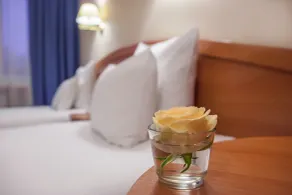 Mercure Czestochowa Centrum - Room