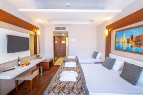 Viking Star Hotel - Habitación