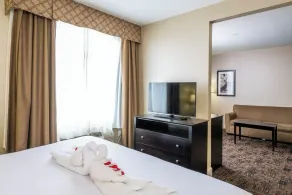 Radisson Hotel Edmonton Airport - Zimmer