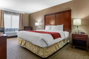 Comfort Inn & Suites Leeds I-20 - Chambre