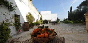 Masseria La Brunetta - Ausblick vom Zimmer