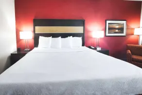 La Quinta by Wyndham Starkville at MSU - Chambre