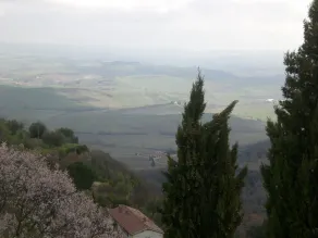 Hotel Vecchia Oliviera - View from room